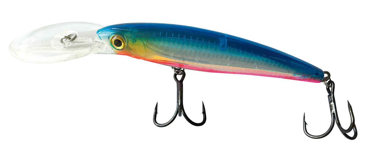 Raptor 3D Saltwater Shad Blau/Rot